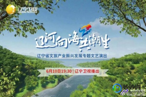 辽宁卫视现场直播,轻松获取辽宁卫视当天节目回放,手机操作指南大揭秘!