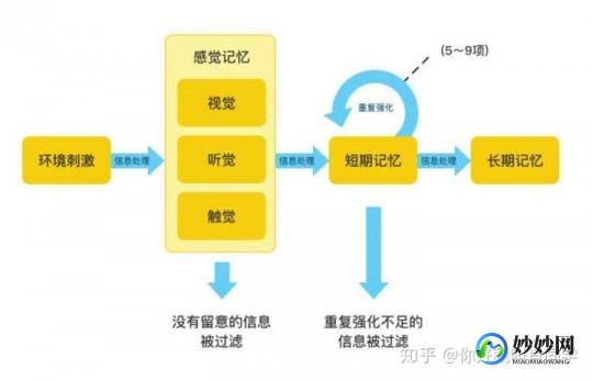恢复记忆,记忆力减退能恢复吗