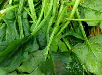 怀孕可以吃菠菜吗,孕妇能吃菠菜吗
