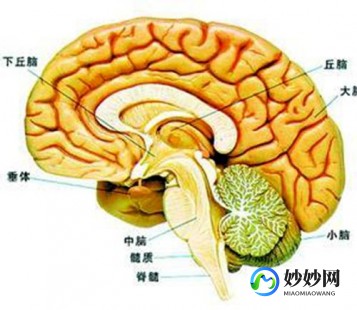 四肢无力是什么病,四肢无力是什么病