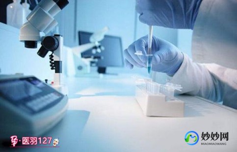 重度少精弱精患者成功试管婴儿之路揭示新希望与挑战