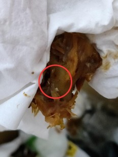 鸡扒里面的白色东西是什么,里有白色的东西是什么