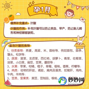 孕早期营养,孕妇早期需要补充什么