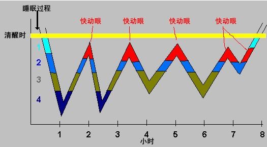 一个睡眠周期,什么是深度睡眠
