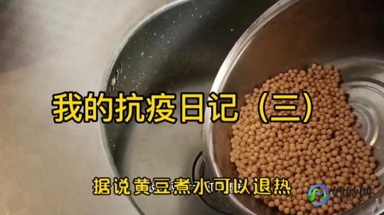 干黄豆煮水退烧是真的吗,黄豆水退烧是真的吗