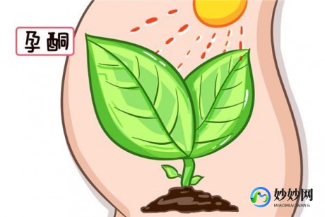 用绒促性素的作用,试管后打绒促性素对保胎有帮助,但不是每个有都适合