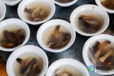 蜻蜓可以吃吗,蜂蛹蜻蜓已成盘中餐女生美容流行“吃虫”
