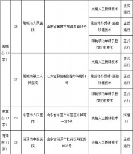 济南第三代试管民营机构是哪家,试管的成功率有多大!