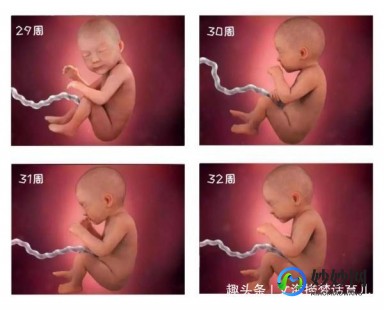 23周是几个月,23周是怀孕几个月