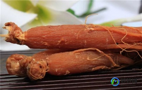 孕妇能吃红参吗,孕妇可以吃红参吗