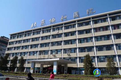 安阳协和医院,安阳市协和医院医生专家大全