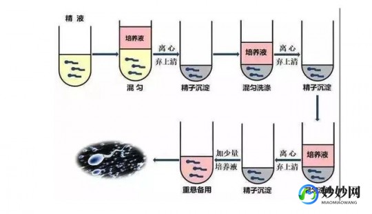 株洲助孕三代试管公司排名靠前的有哪些!附详细费用构成!