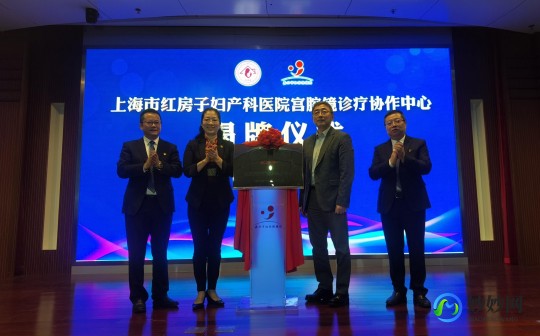 上海红房子,红房子医院