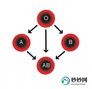 o型血a型血,a型血和o型血