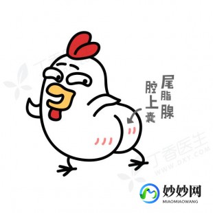 鸡头能吃吗,鸡头能不能吃