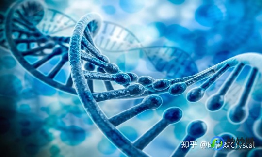 7号染色体,起航三代试管婴儿,女性缺失7号染色体也能成为母亲的奇迹!