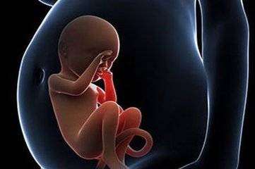 7号染色体,起航三代试管婴儿,女性缺失7号染色体也能成为母亲的奇迹!