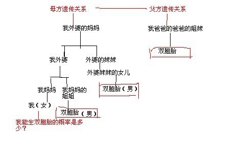 双胎的概率,生双胎的几率有多少？附影响生双胎几率的因素
