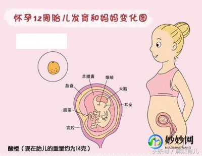 吃什么补黄体酮,吃什么补孕酮