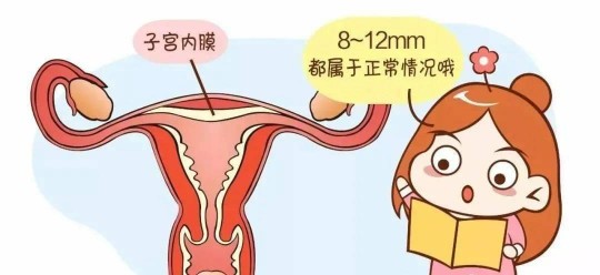 子宫内膜活检,试管内膜活检的目的和作用分享,这三大作用可促进胚胎着床...
