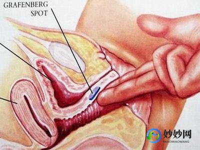 女人私密处,女人都有G点？女性对私密处的十个误解