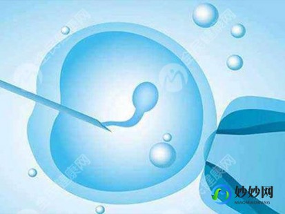 嘉兴哪家医院最有实力做第三代试管!附详细费用构成!