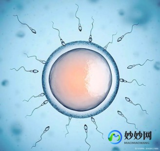 弱精试管能否成功迎来第一代新生儿的希望与挑战