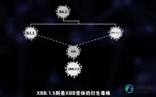 XBB1.5毒株,xbb1.5是什么