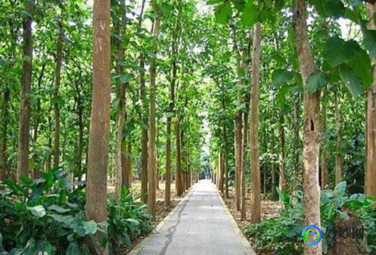 福建第三代试管民营机构是哪家,15万够用了没!
