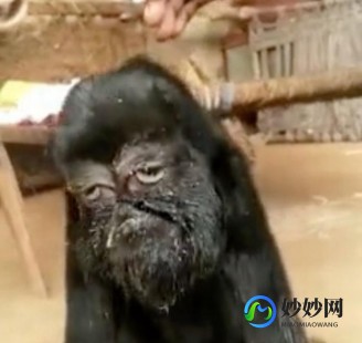 畸胎,不良情绪易引起宝宝先天缺陷盘点易致畸胎的五大原因