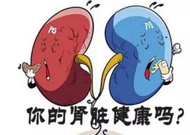 紫菜含嘌呤高吗,尿酸高可以吃虾皮和紫菜吗