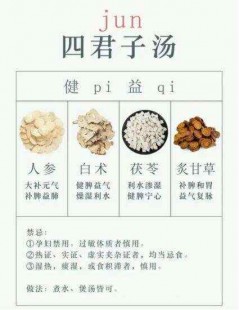 四君子汤哪四种,补气方剂四君子汤配方什么