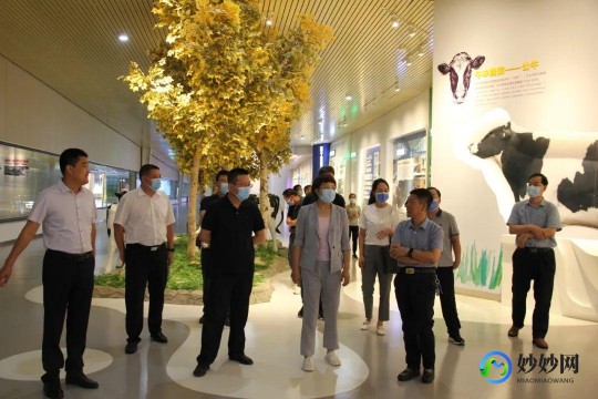 旗帜三个奶粉评测揭秘：口感营养双丰收，值得信赖吗