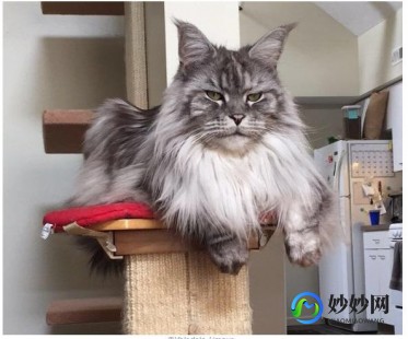 新生儿眼屎多,新生儿眼屎多