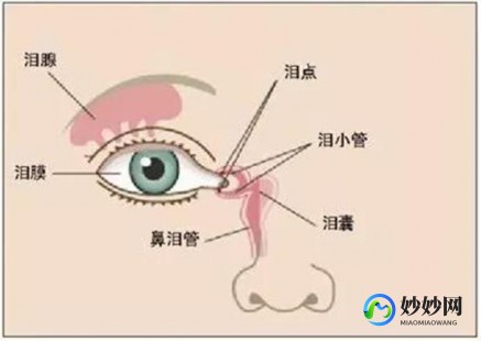 新生儿眼屎多,新生儿眼屎多