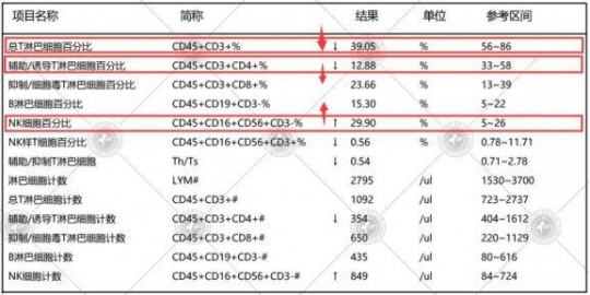 t淋巴细胞亚群,什么是淋巴细胞亚群