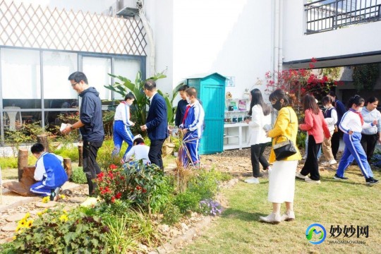 魔法花园英雄碎片,魔法花园英雄碎片获取与利用全攻略魔法花园英雄突破