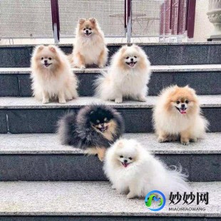 博美堂脂肪,吃了博美堂脂肪,晚上睡不着,白天也不困,怎么办