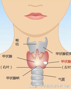 甲状腺3类结节严重吗,甲状腺3类结节严重吗