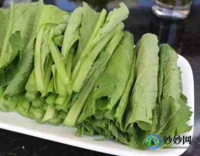 什么叫溶血,溶血是什么意思