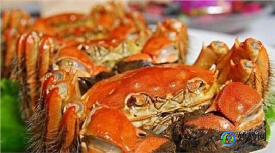 吃螃蟹过敏怎么办,吃螃蟹过敏怎么办