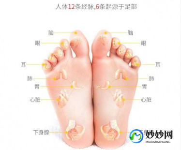 按摩的好处,按摩有什么好处