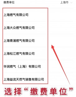 手机网上交费,手机话费轻松在线交,手机能否交话费及操作指南一览