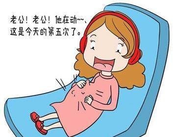数胎动怎么数,数胎动怎么数