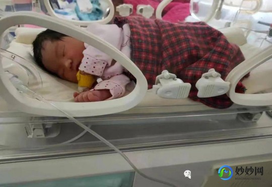 新生儿闭锁,什么是新生儿闭锁