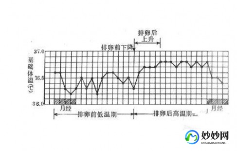 基础体温持续低温,基础体温为什么低