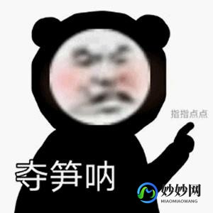 怎么退订超级qq,超级qq怎么退订,超级QQ退订攻略,轻松解除自动续费,掌握手