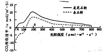 看阴,阴分析图