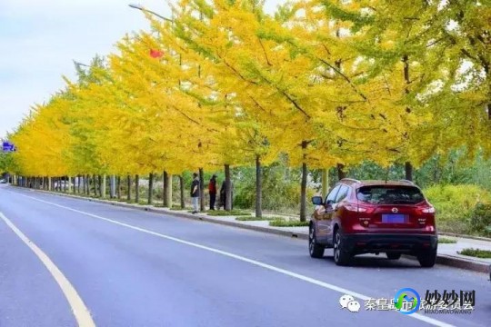 北戴河281医院,秦皇岛281医院简介_详细介绍