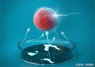 安宫黄体酮,安宫黄体酮和黄体酮胶囊一样吗